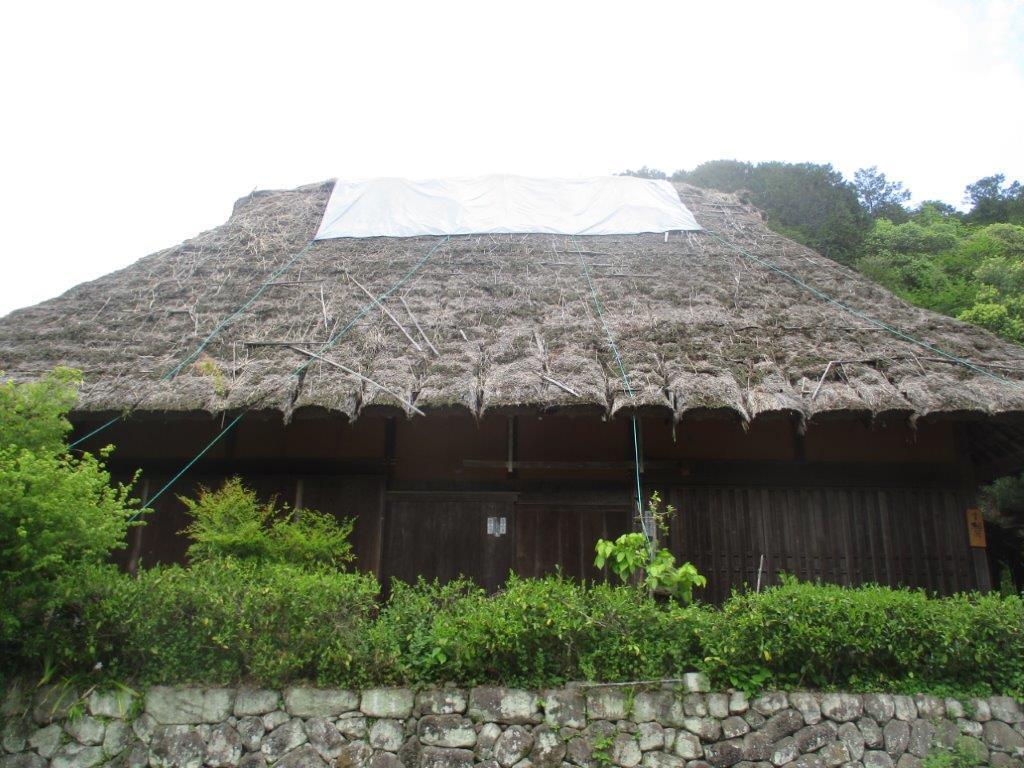 IMG_4942.jpg